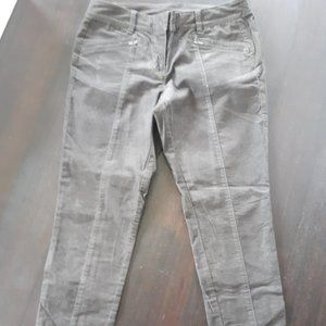Brown Velvet Pants Ann Taylor LOFT Velvet Skinny Pants